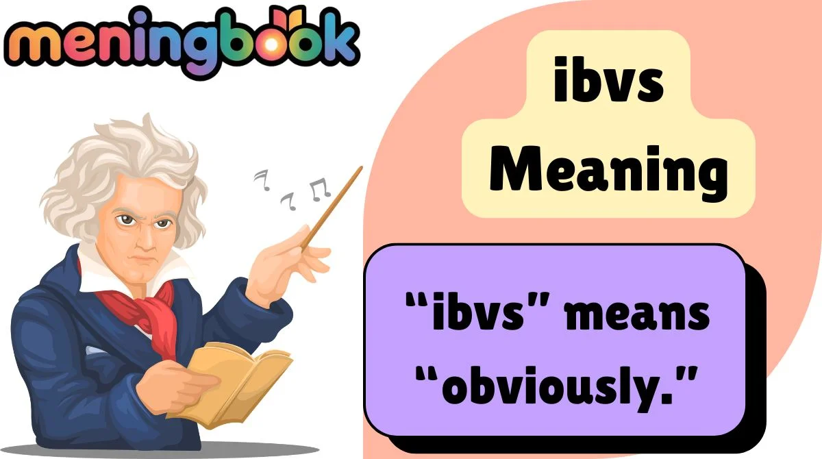 ibvs Meaning