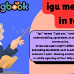 igu meaning in text