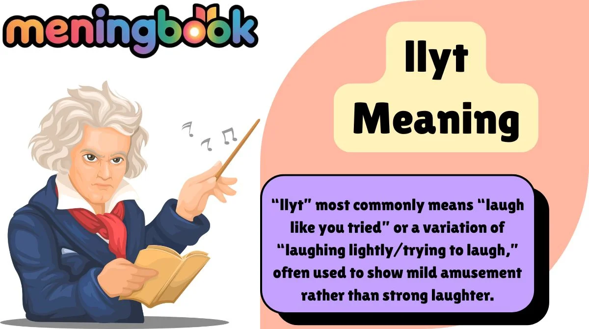 llyt Meaning