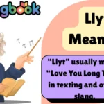 Llyt Meaning