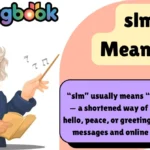 slm Meaning