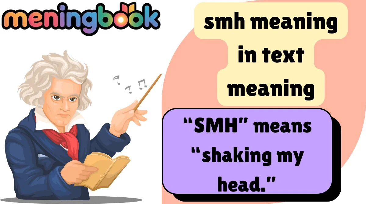smh meaning in text meaning