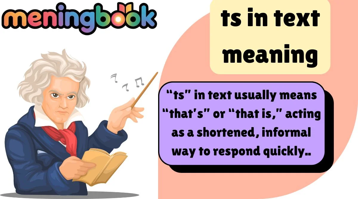 ts in text meaning