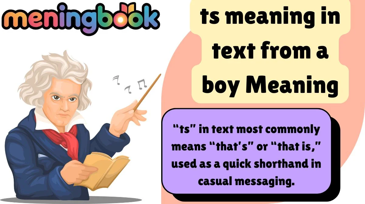 ts meaning in text from a boy Meaning
