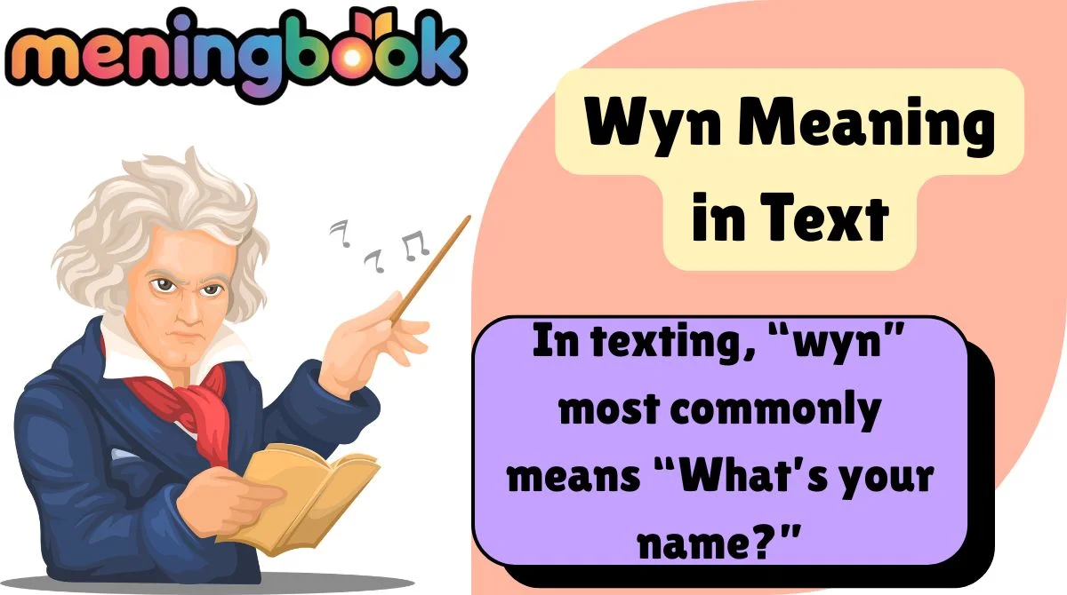 Wyn Meaning in Text