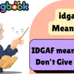 idgaf Meaning
