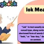 lok Meaning