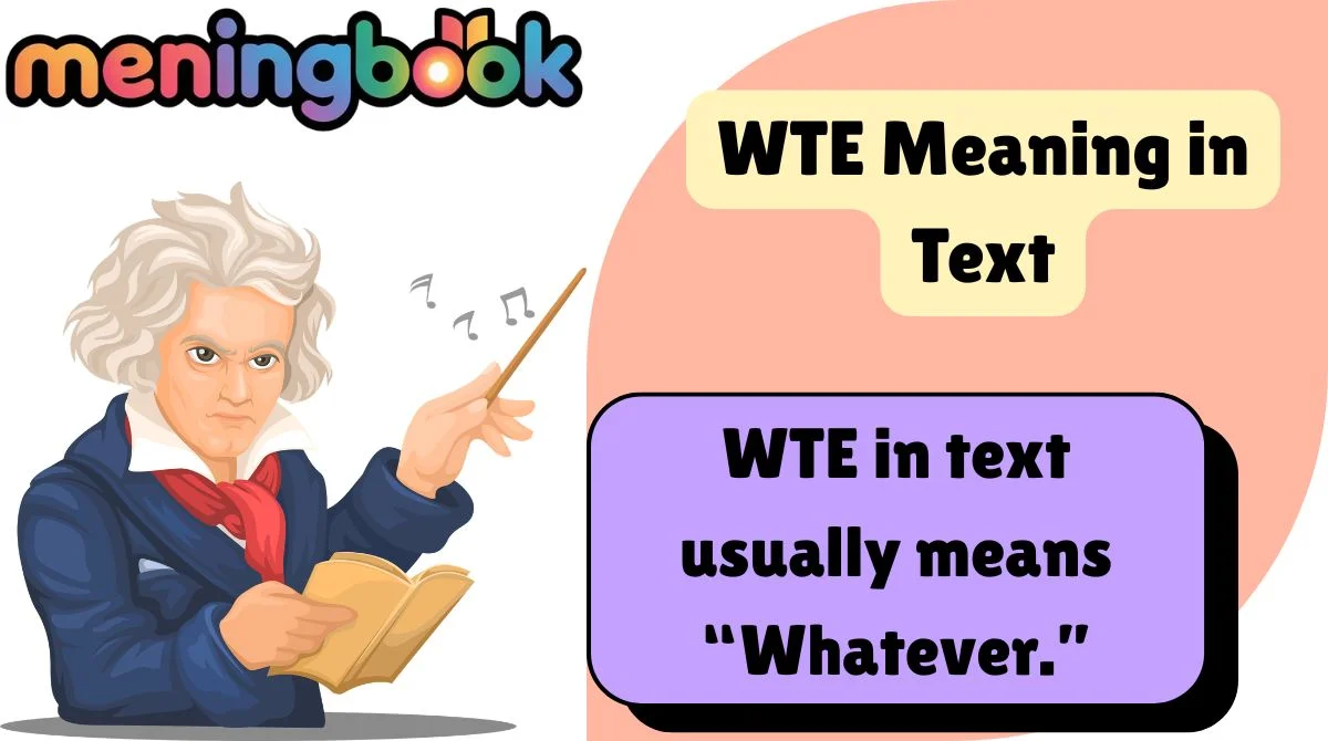 WTE Meaning in Text